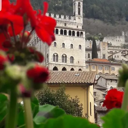 Galeotti 18 * Gubbio